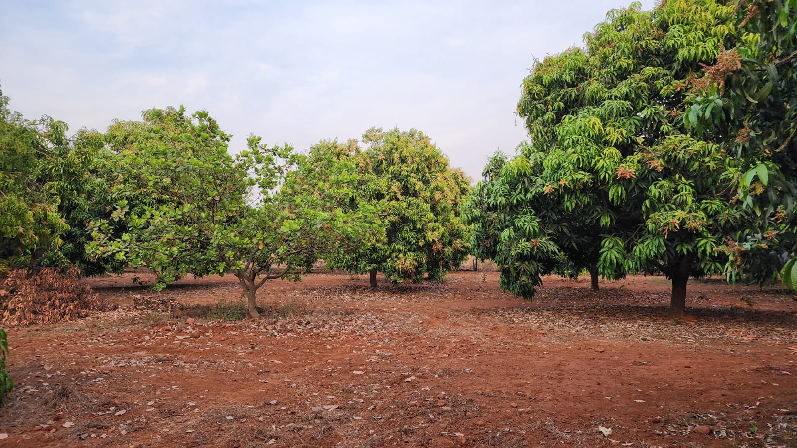 Premium 9 Acre Lake Touch Farmhouse Plots  In Roha Raigad